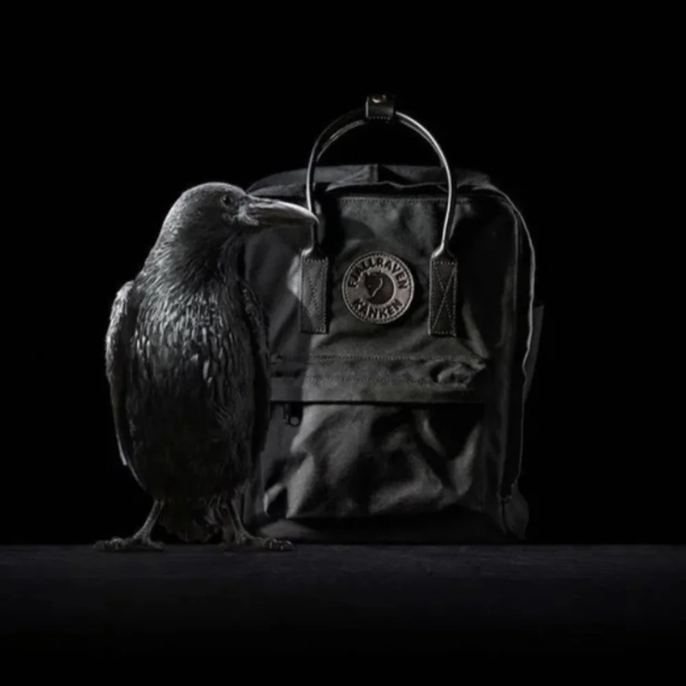 Unisex Fjallraven All Black Kanken No2 Laptop Backpack  , Black on Black